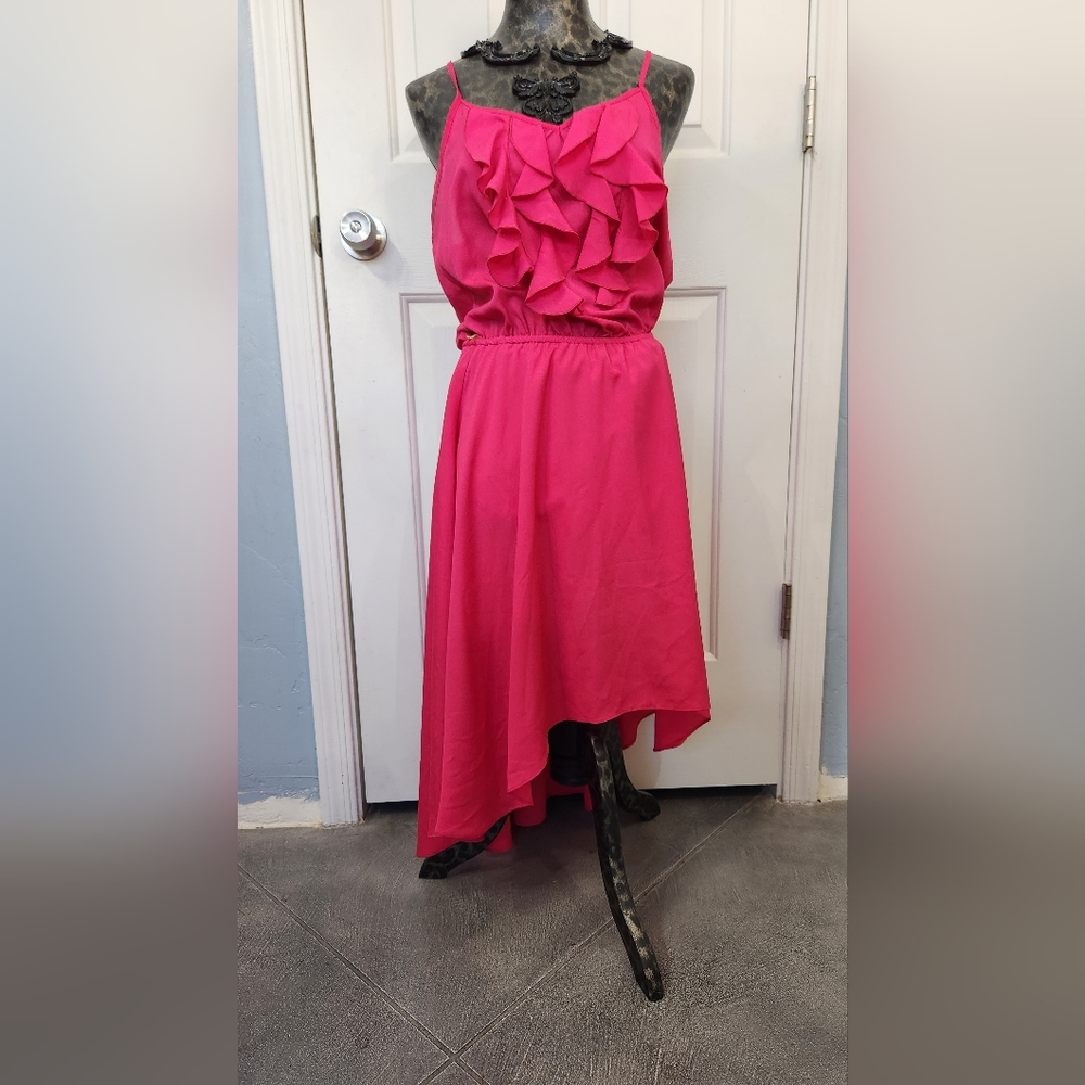 Bisou Bisou A line Rayon dress